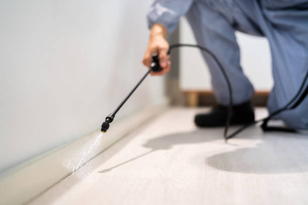 Licensed Rodent Control service in Gillespie County County, TX - Nex Pest Control