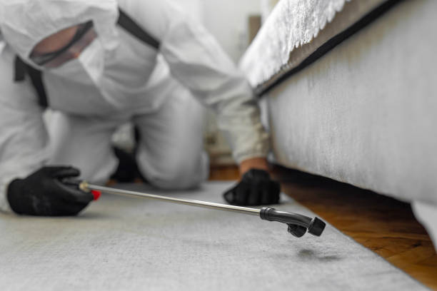 Professional Rodent Control technician working in Gillespie County County, TX